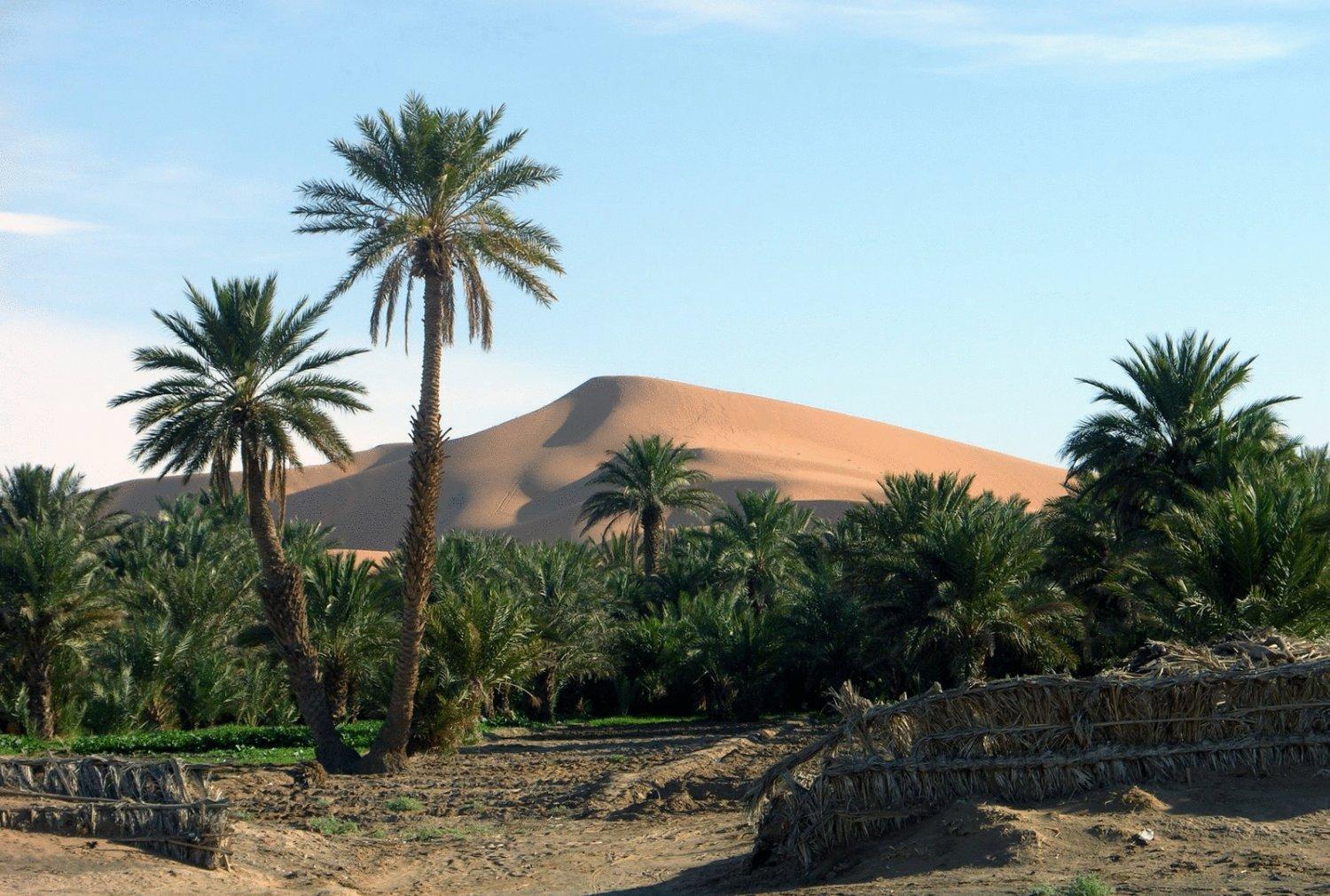 Hotel Riad Oasis Merzouga Exteriér fotografie